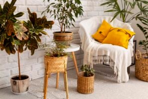 Ambiente com vasos de plantas, poltrona com manta e almofadas amarelas