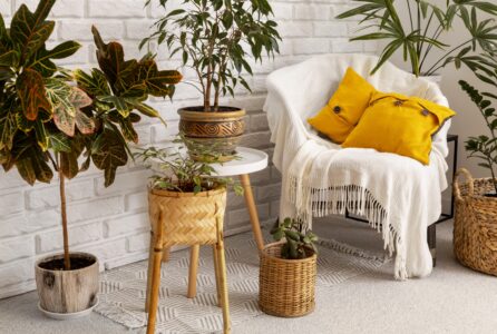 Ambiente com vasos de plantas, poltrona com manta e almofadas amarelas
