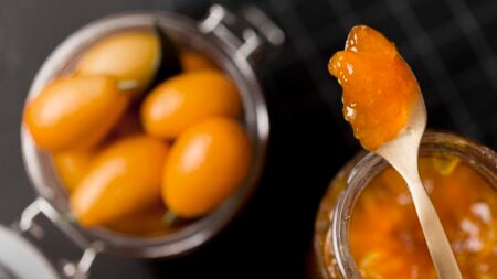 Potencial gastronômico do butiá pode ser alternativa para a preservação da espécie