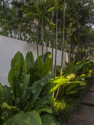 Passagem de pedestre com paisagismo