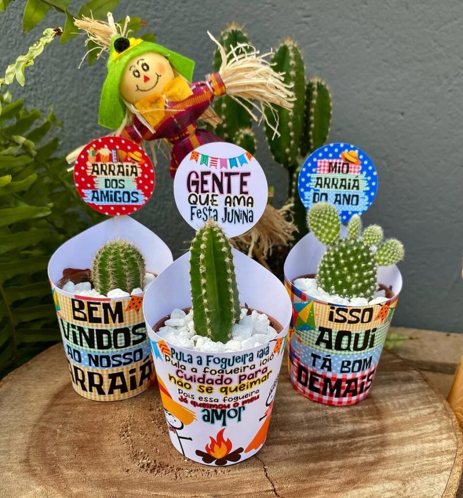 Potinhos com cactus, papel colorido ao redor e frases de São João