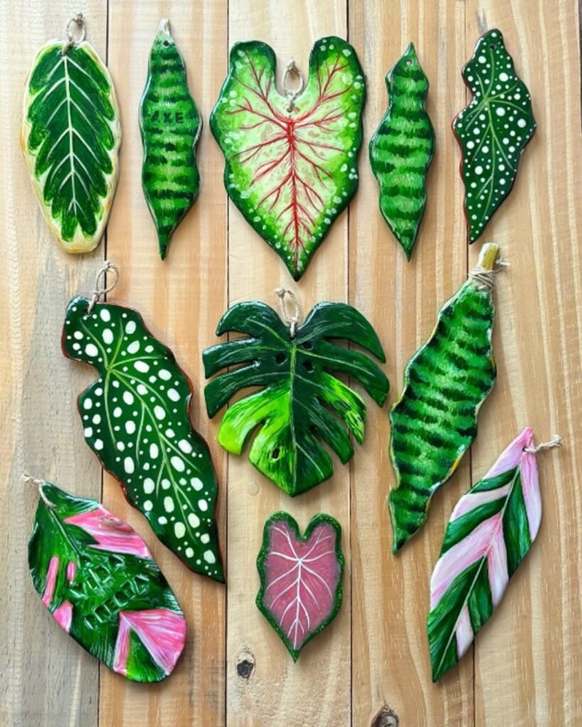 Folhas variadas verde de cerâmica fria