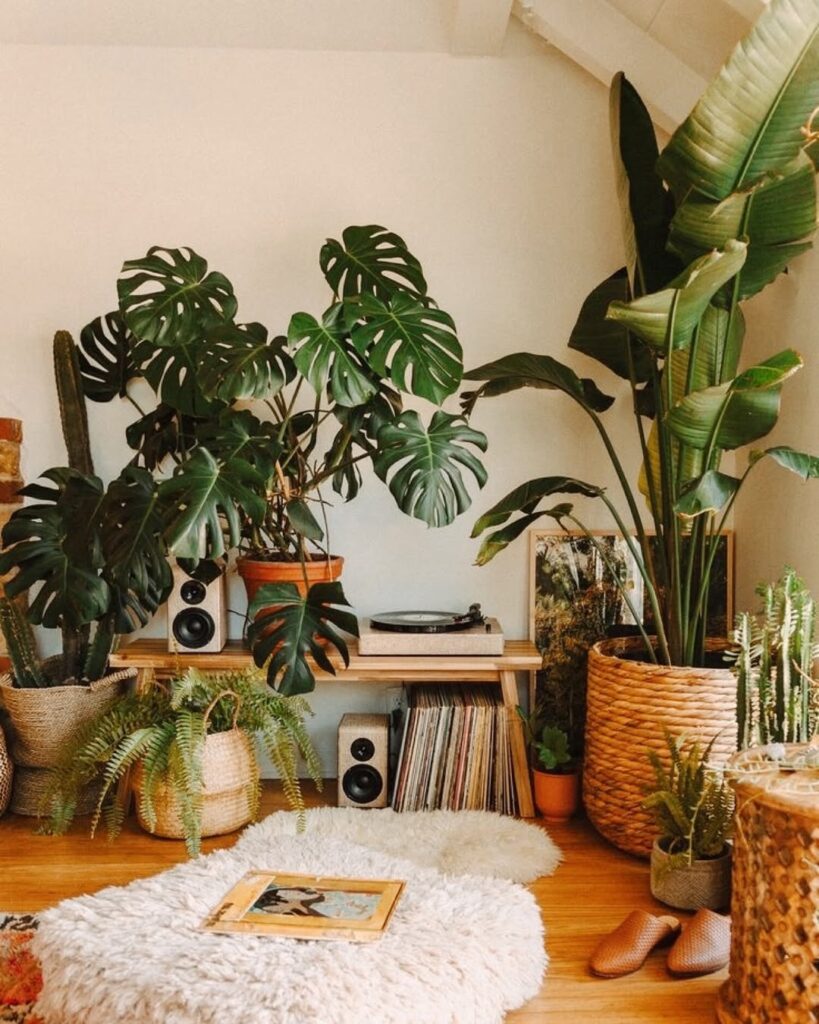 Ambiente com plantas de variados tamanhos