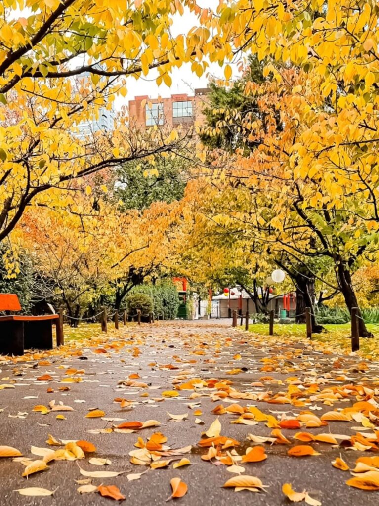 Outono em Buenos Aires