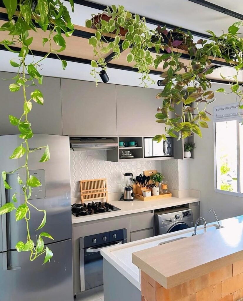 Cozinha em branco e cinza, com prateleira aérea e plantas